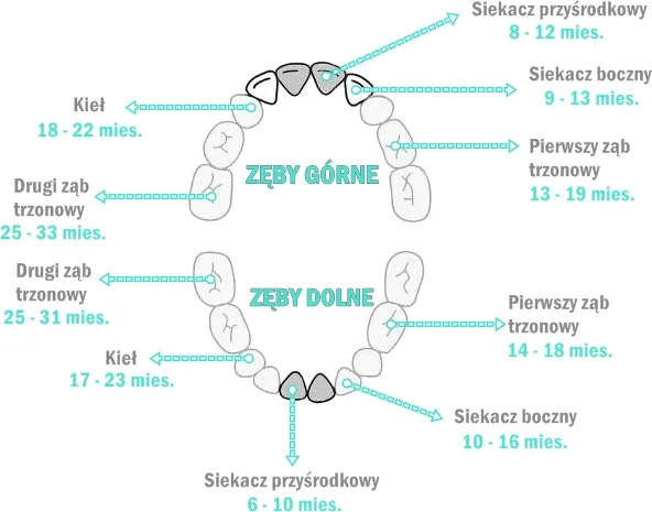 Ząbkowanie które zęby najgorsze: jak złagodzić ból u niemowląt